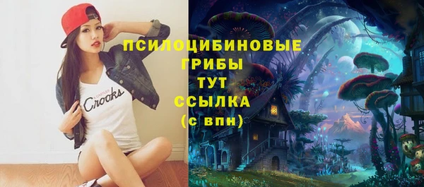 трава Осташков